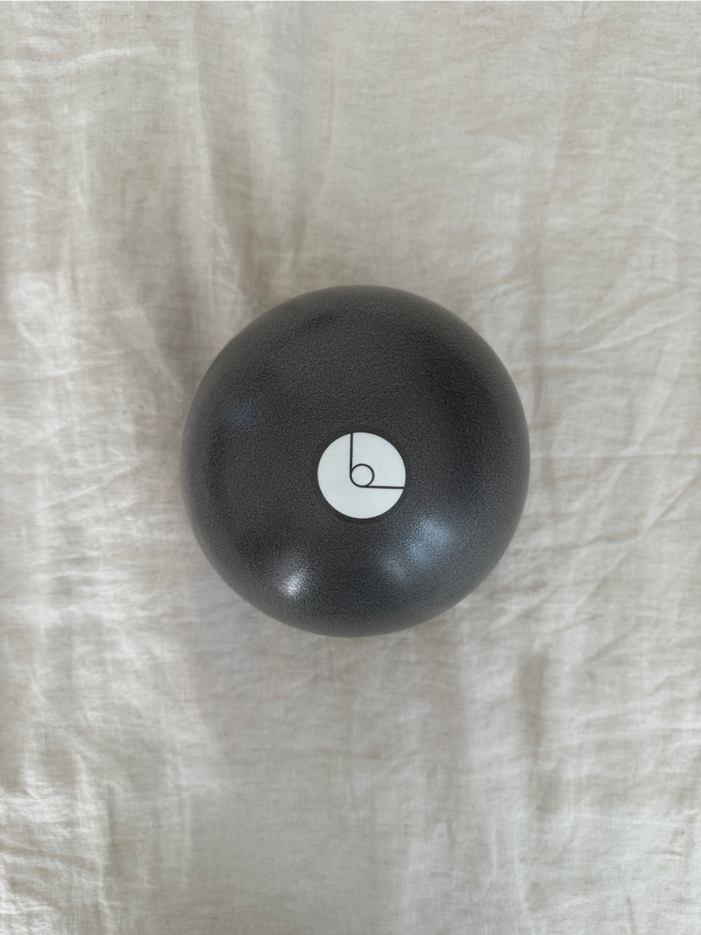 B THE METHOD Weighted Pilates Ball (2 lb)